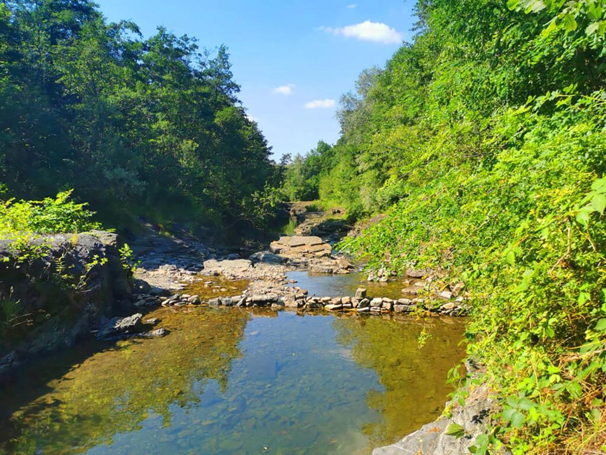 Aloha Glamp - Okragle Domki Przy Rzece - Balia I Sauna - Energylandia Zagornik المظهر الخارجي الصورة
